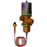 Válvula presostática de Agua JOHNSON CONTROLS 3/8" V46AA-9600 R.12