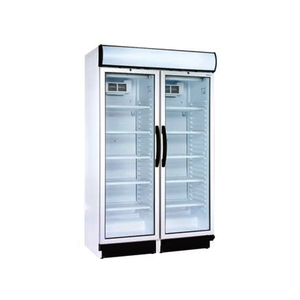 Armario expositor refrigerado doble puerta abatible
